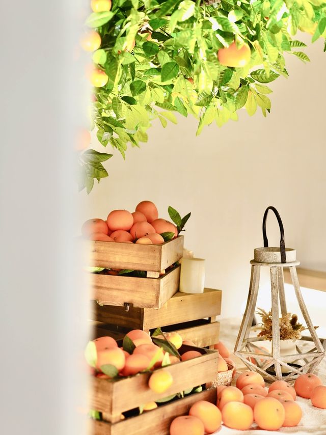 濟州柑橘🍊主題餐廳 