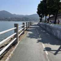 沙田單車遊🚲