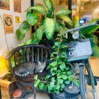 ร้านลับ 