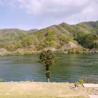 🌳 강가에 비춘 자연 풍경을 보며 힐링할 수 있는 골든트리 카페 