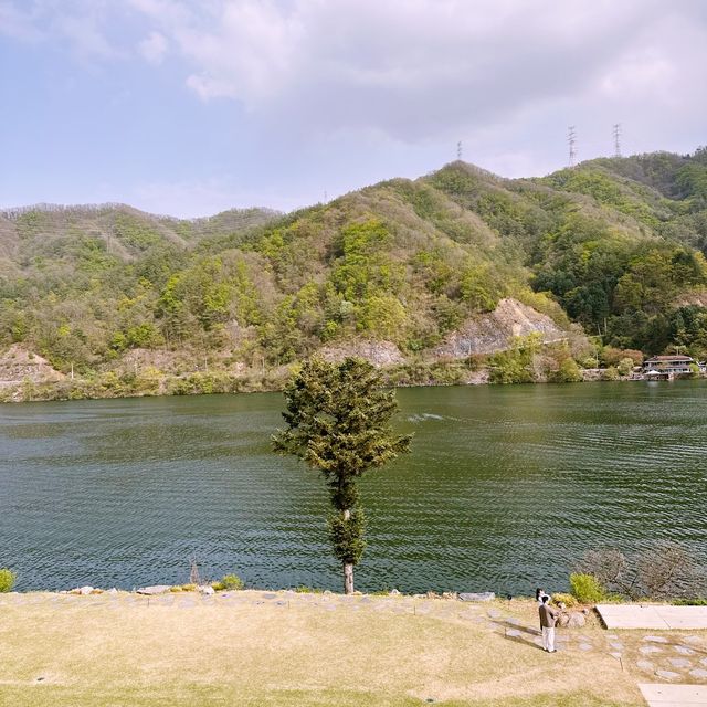 🌳 강가에 비춘 자연 풍경을 보며 힐링할 수 있는 골든트리 카페 