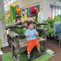 งาน IntoTheWoods JungleCalling