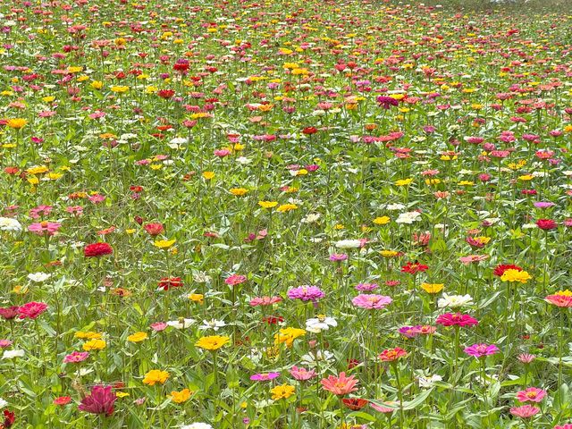 남원 조경원 카페 아담원🌷