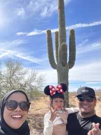 Iconic Cactus in Arizona 🌵 