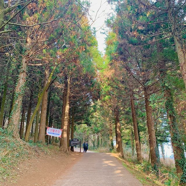 제주여행 노을보기 좋은 오름추천, “금오름”💛