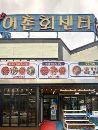 속초 회 + 대게 맛집 대포어촌회센타 🦀