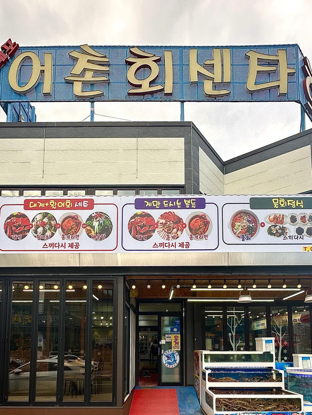 속초 회 + 대게 맛집 대포어촌회센타 🦀