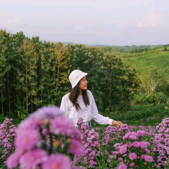 ไฮเดรนเยีย คาเฟ่ เขาค้อ - Hydrangea Cafe 