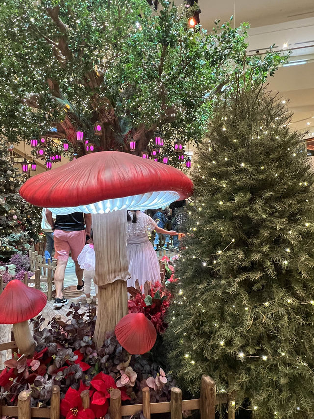 太古廣場😝全港最令聖誕🎄打卡位😳夢幻森林