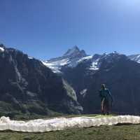 🇨🇭스위스 사진스팟👀 피르스트 클리프워크 파노라마뷰