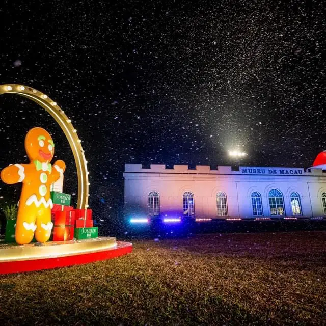 The Fortress Garden Under the Falling Snow