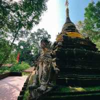 วัดผาลาด
