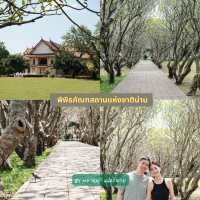 รวมที่พัก ที่กิน ที่เที่ยว และคาเฟ่ น่าน