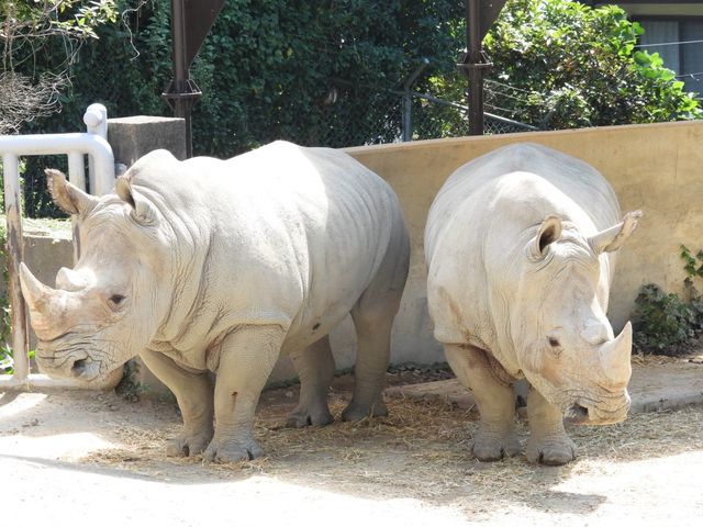 福岡動植物公園