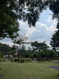 Wine Camp สระบุรี