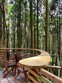 【福岡カフェ】森の中のツリーハウスで森林浴を楽しめるカフェ