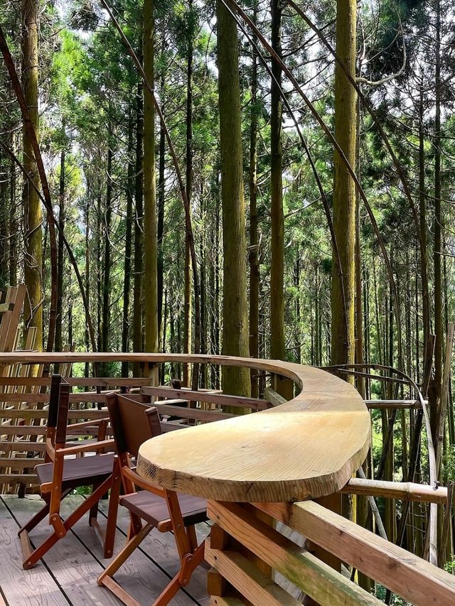 【福岡カフェ】森の中のツリーハウスで森林浴を楽しめるカフェ