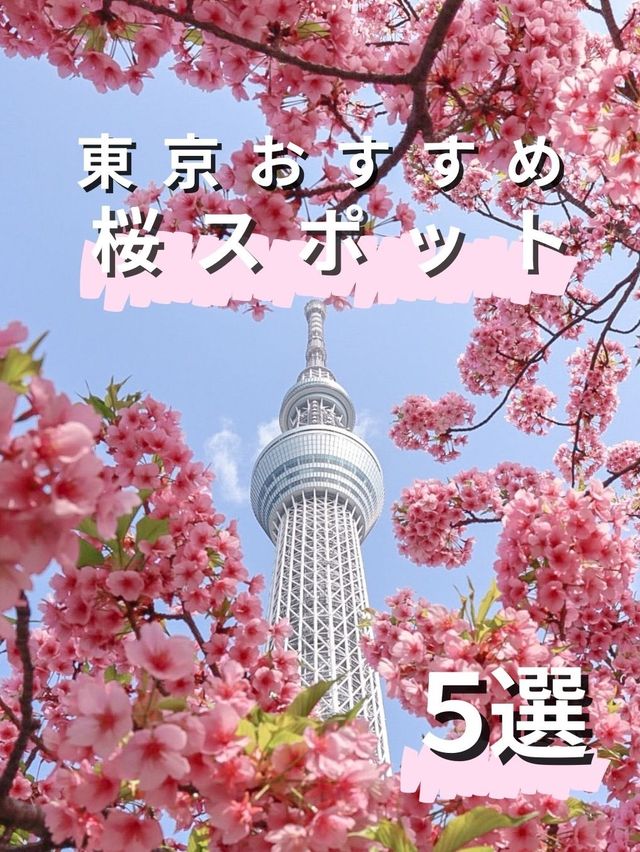 東京おすすめ桜スポット5選