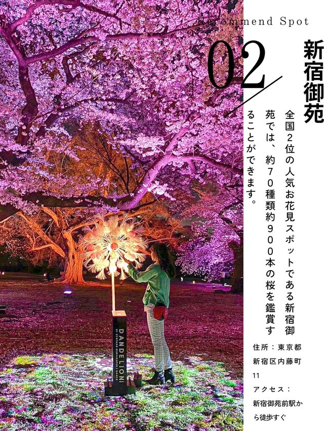 東京おすすめ桜スポット5選