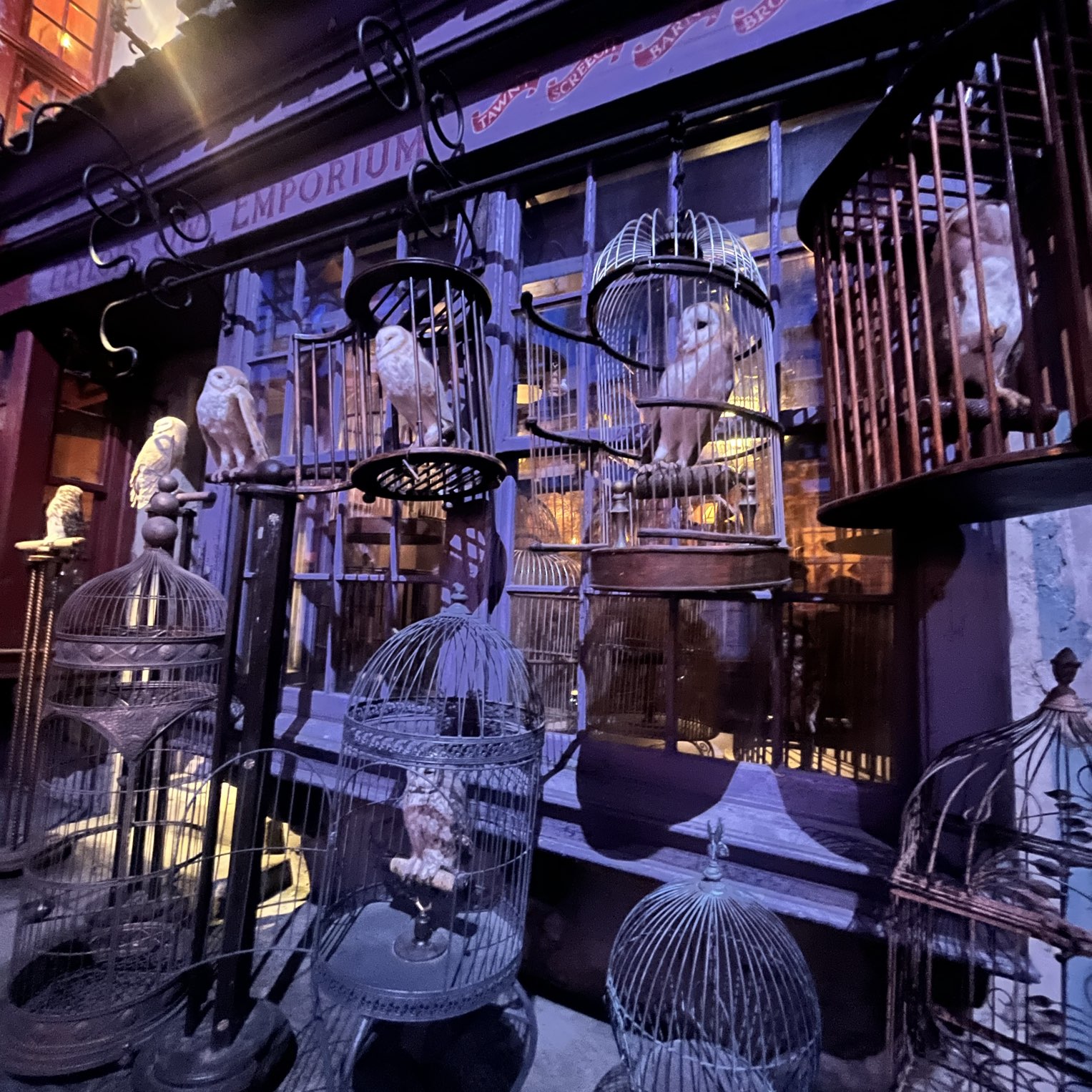 魔法界へ飛び込もう！カメラ必須】 | Trip.com 東京