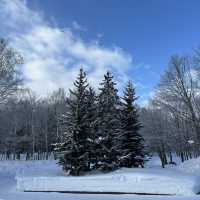 Furano hotel is such a beautiful hotel worth going! 
