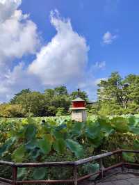 Hakusan Park