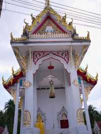 วัดที่ได้รับพระราชทานวิสุงคามสี วัดบางใบไม้
