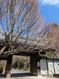 龍安寺の境内の鏡容池(おしどり池)の、水分石(みくまり石)の上には、２羽の鳥が仲良く並んでいた