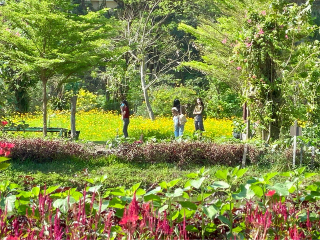 A tranquil day amidst nature.