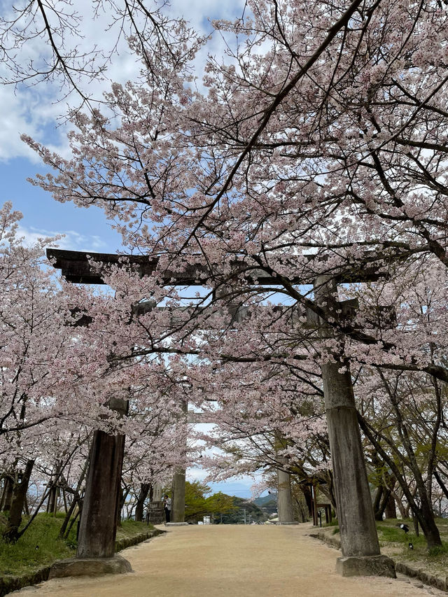 アニメでも有名になった神社