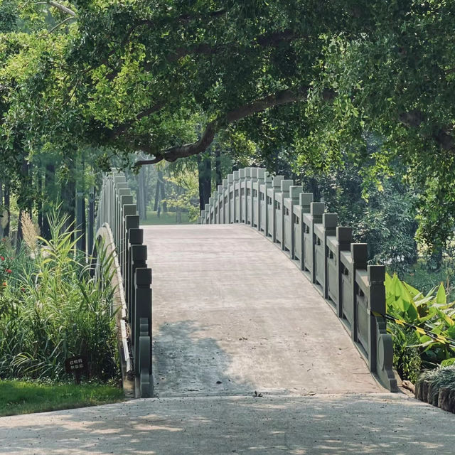 「新加坡難得的市區綠洲：肯特崗公園」