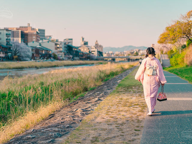 นั่งชิลยามเย็นที่ Kamo River เมืองเกียวโต