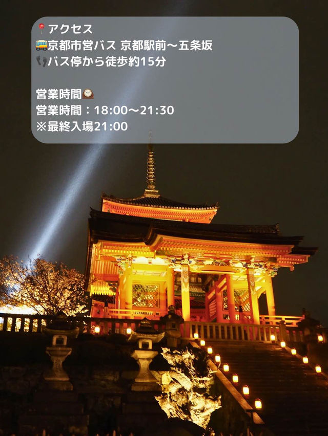 【京都 東山】約1週間限定🌸春の夜間拝観で見る清水寺の桜