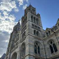 The Natural History Museum