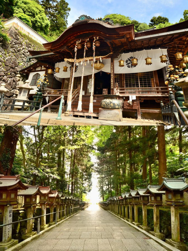 A Tranquil Haven in the Heart of Japan