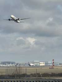 【千葉(成田)】桜×飛行機を撮影するなら絶対ここ！！飛行機が間近でみられるおすすめスポット