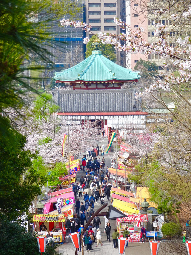 【清水観音堂/東京都】桜咲く季節に訪れてみた