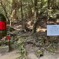 【世界遺産】春日山原始林　〜春日山遊歩道