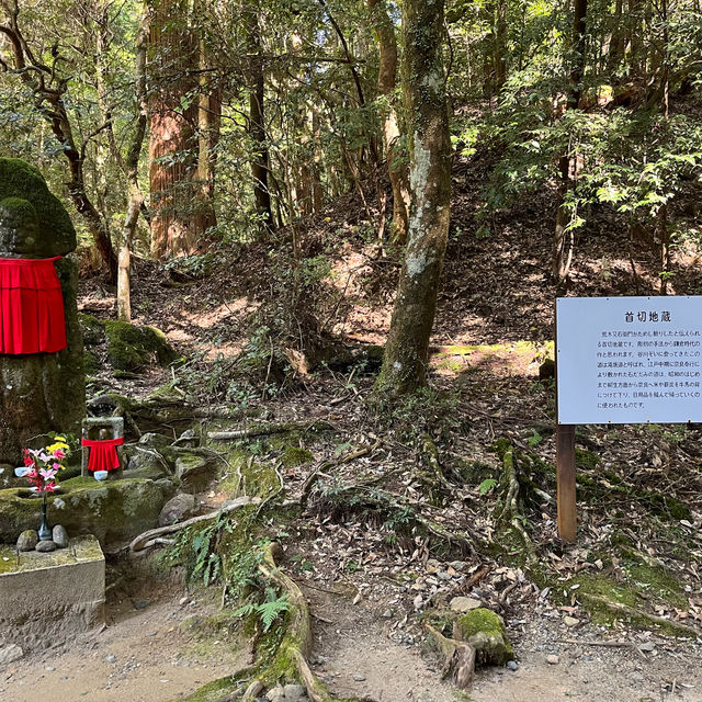 【世界遺産】春日山原始林　〜春日山遊歩道