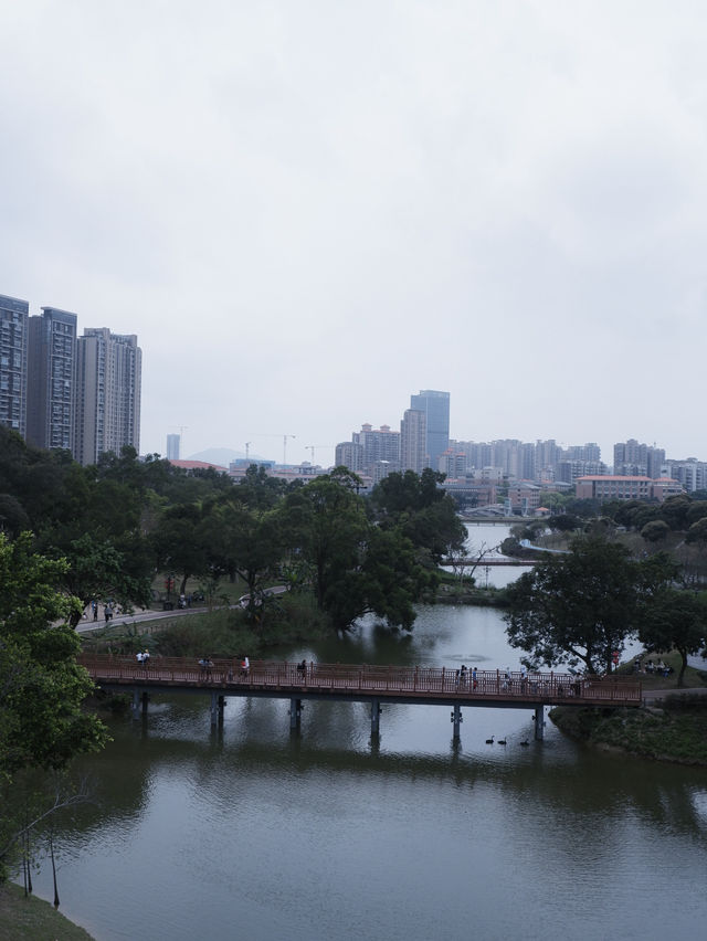 珠海免費景點，小溪花海人少