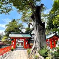 【生島足島神社/長野県】神池に囲まれた素晴らしい景観