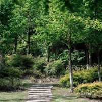 【日韓春天好去處】城市綠洲，親密接觸大自然