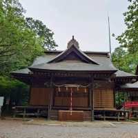 土浦日枝神社の流鏑馬神事🐎