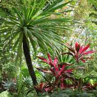 上海辰山植物園：綠意盎然