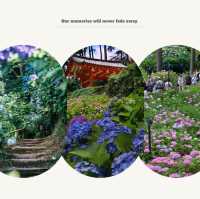 【福岡景點】星之花公園～漫步賞景