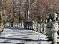 Why you should visit Nikko, Japan (Jan 2024)