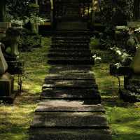 慧光院：絕美日式苔庭園，感受古代貴族的禪意情調