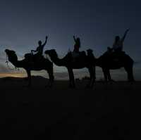 Sahara Desert - what to expect in a place with only sand