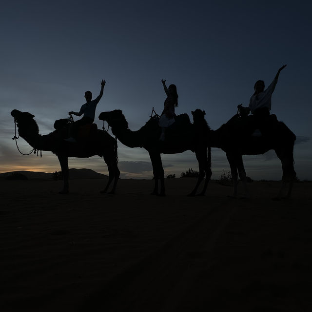 Sahara Desert - what to expect in a place with only sand