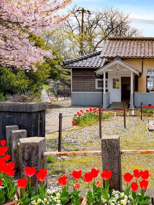📍富岩運河環水公園